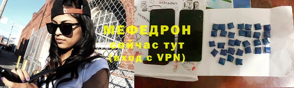 индика Медвежьегорск