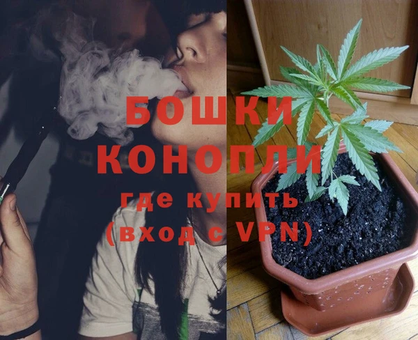 прущие крисы Мегион