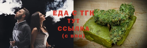 индика Медвежьегорск