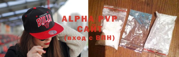 индика Медвежьегорск