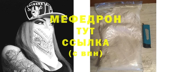 индика Медвежьегорск