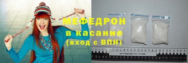 индика Медвежьегорск