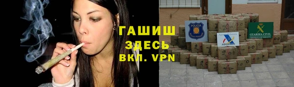 индика Медвежьегорск