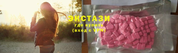 индика Медвежьегорск