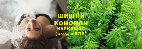 дурь Шарыпово