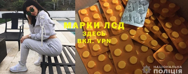 индика Медвежьегорск