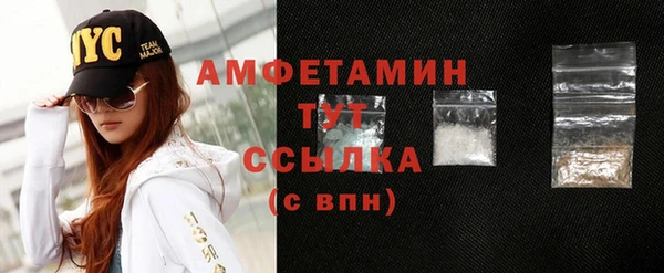 индика Медвежьегорск