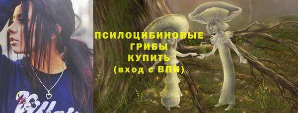дурь Шарыпово
