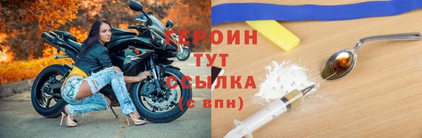 индика Медвежьегорск