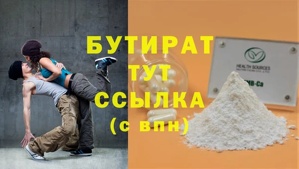 индика Медвежьегорск
