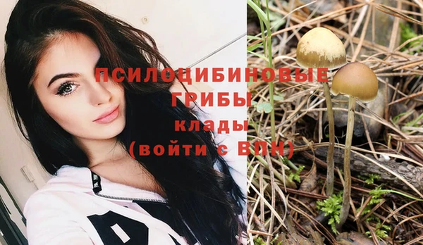 индика Медвежьегорск