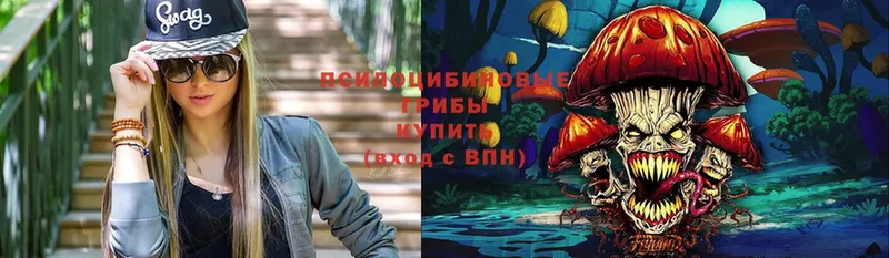 Псилоцибиновые грибы MAGIC MUSHROOMS Ардатов